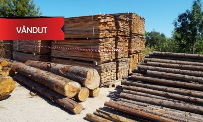 Material Lemnos: Lot 2 - 43,13m3 cherestea rașinoasă, molid 3.299buc scândură 3ml lungime (a II-a licitatie)